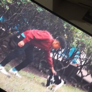 Meet your Posher, Dylan